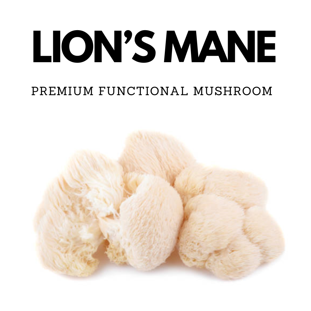 Lion's Mane Capsules - Mushroom Supplements