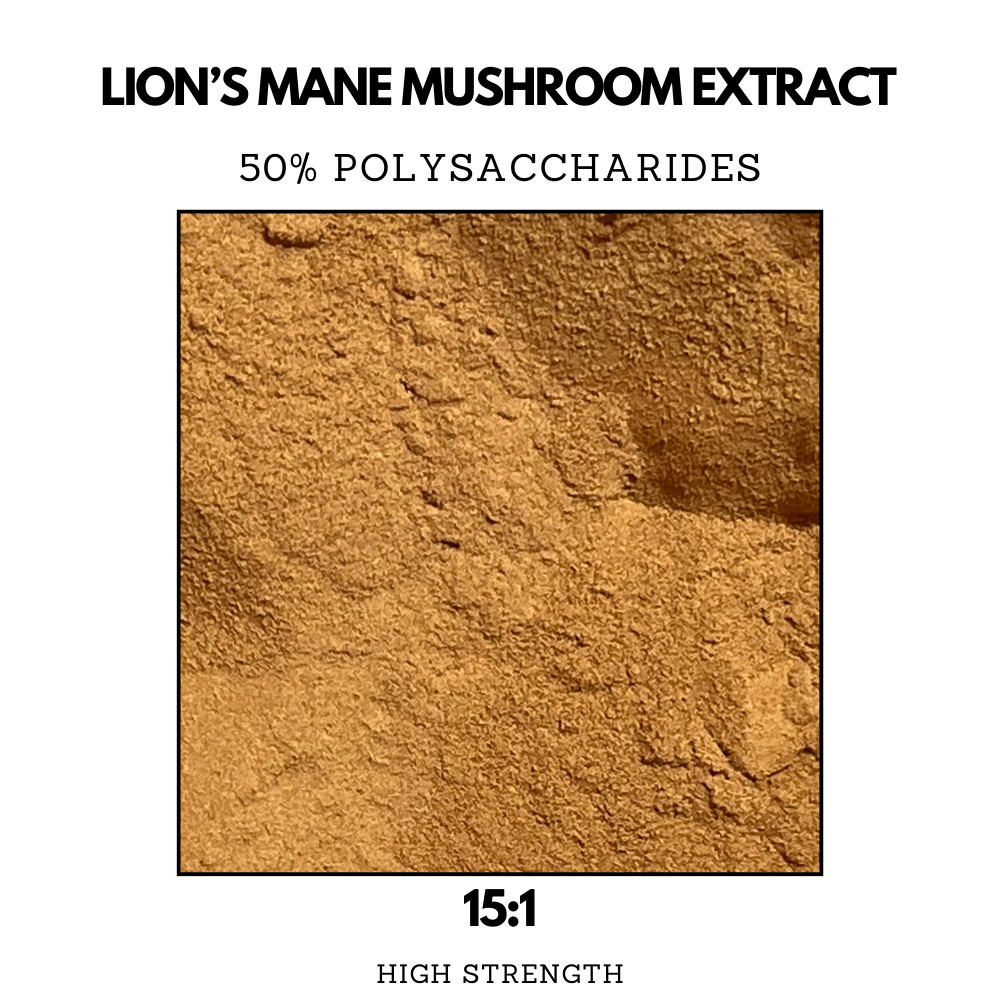 Lion's Mane Capsules - Mushroom Supplements