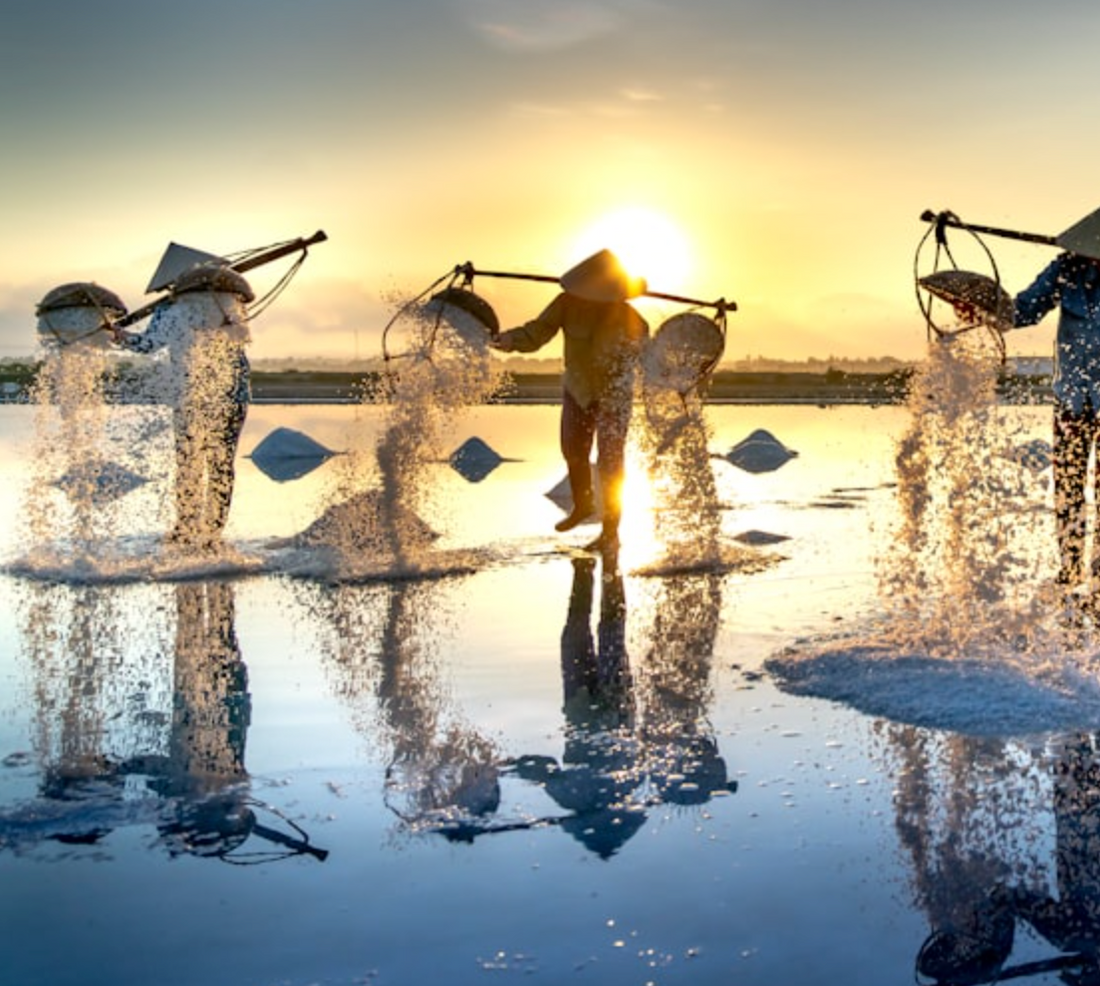 Celtic Sea Salt harvesting
